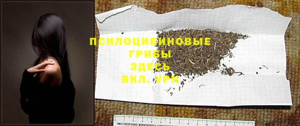ешки Бородино