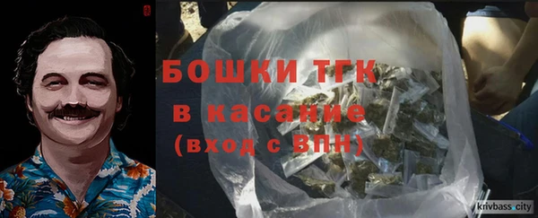 2c-b Туринск