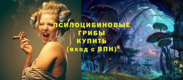 ешки Бородино