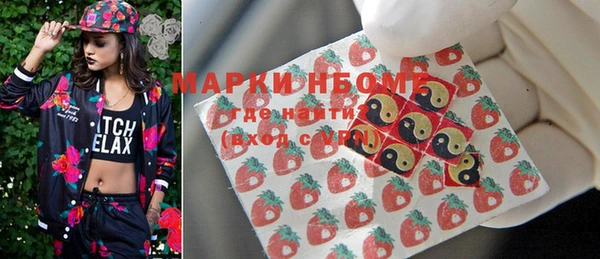 ешки Бородино