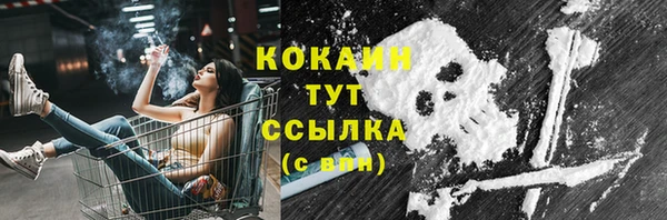 2c-b Туринск