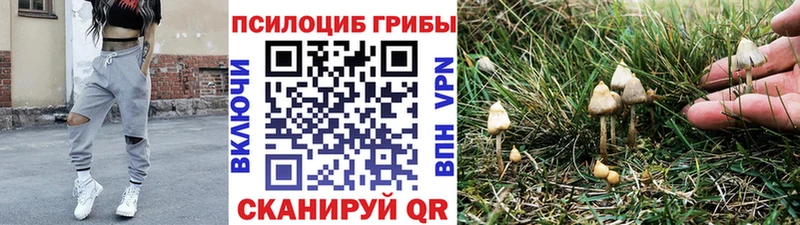 где можно купить наркотик  Горячеводский  сайты даркнета Telegram  Галлюциногенные грибы ЛСД 